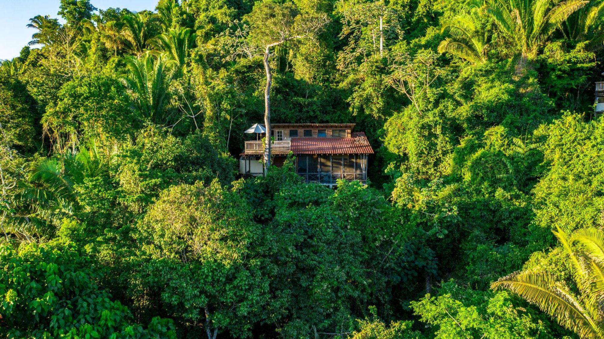 Ian Anderson Caves Branch Jungle Lodge Бельмопан Экстерьер фото